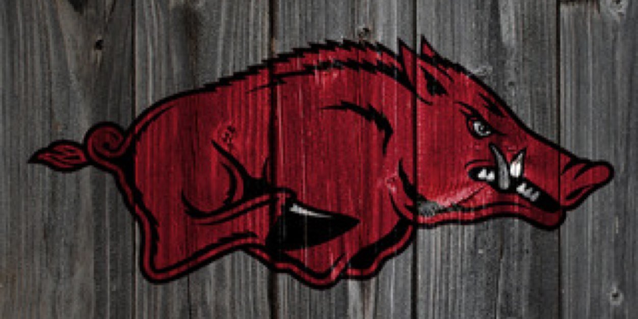 DidTheH0gsWin's profile banner image