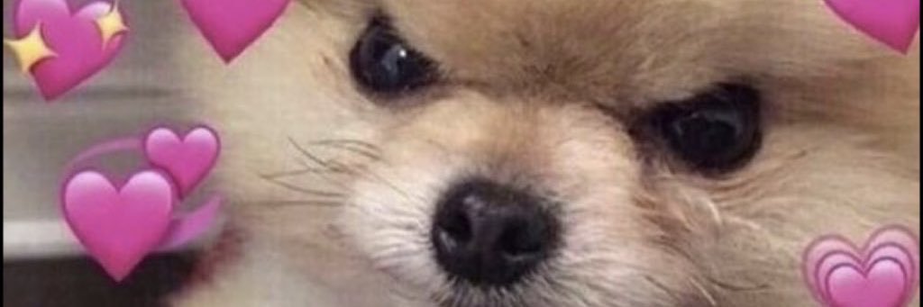 kaylaaaa_______'s profile banner image