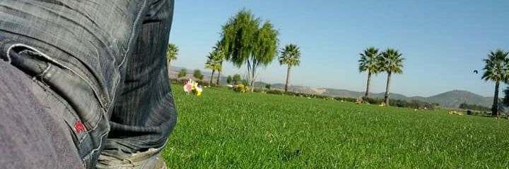 Rene2947's profile banner image