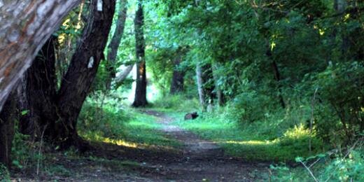 UpperBayTrails's profile banner image