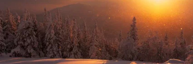 gracietagert26's profile banner image