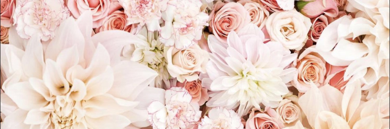 GraceJang_'s profile banner image