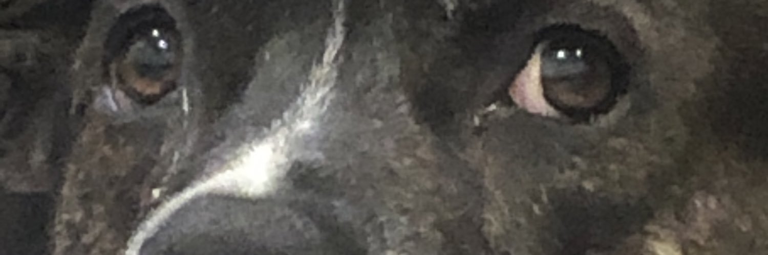 Myieshaaaa's profile banner image