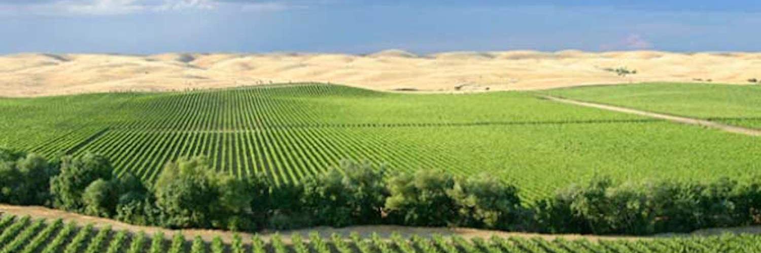 Ignacio Hernández Jr banner