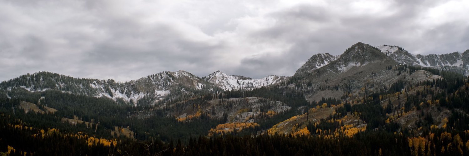 conner curtis banner