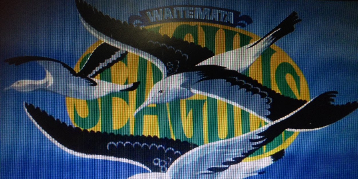 WaitaSeagulls's profile banner image