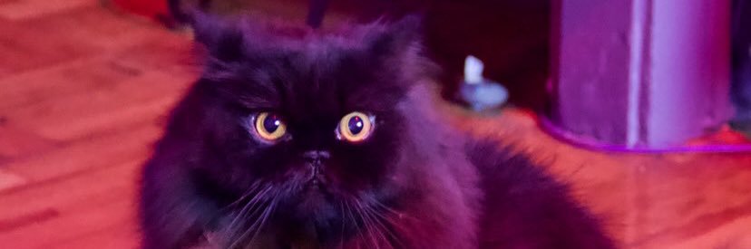 JamieStardust's profile banner image