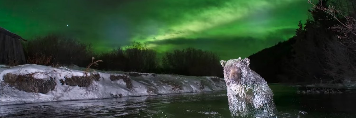 🍊Brüçe d'Orange banner