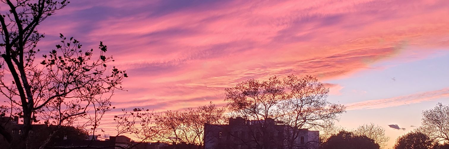 Lady_Jay_22's profile banner image