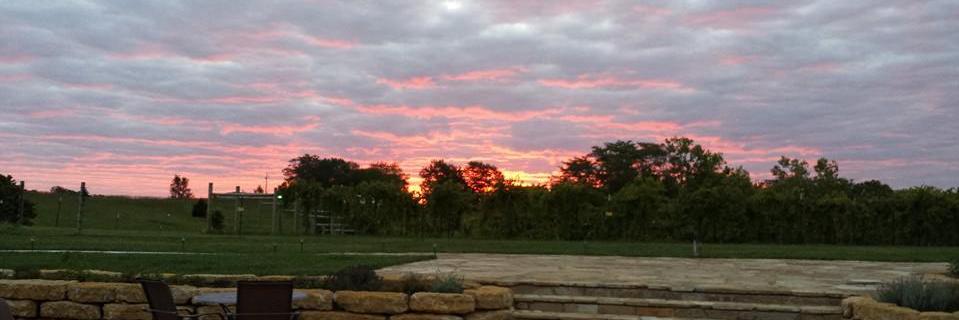 Fence Stile Winery banner