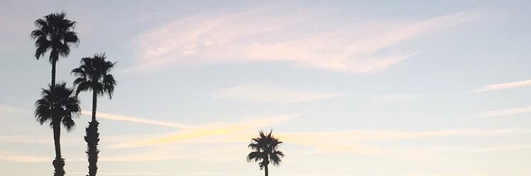MagnificentKate's profile banner image