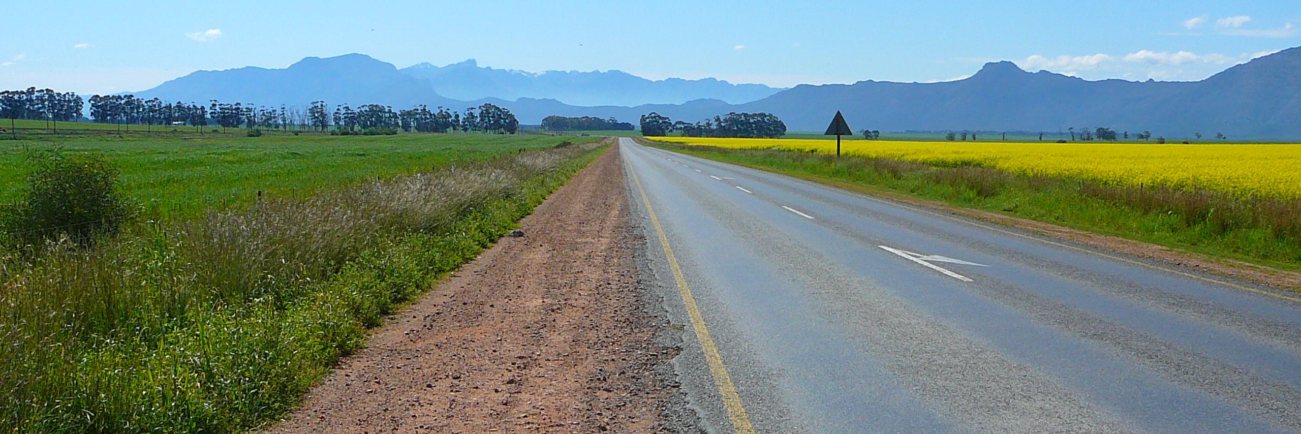 Leon Venter banner