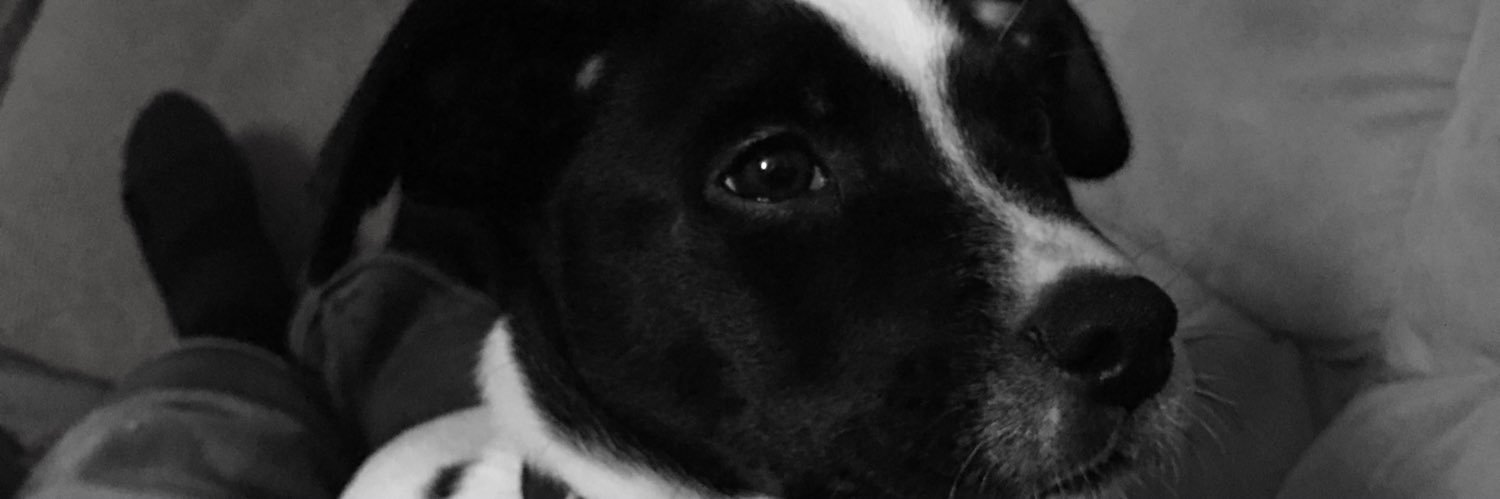 tr3v42's profile banner image