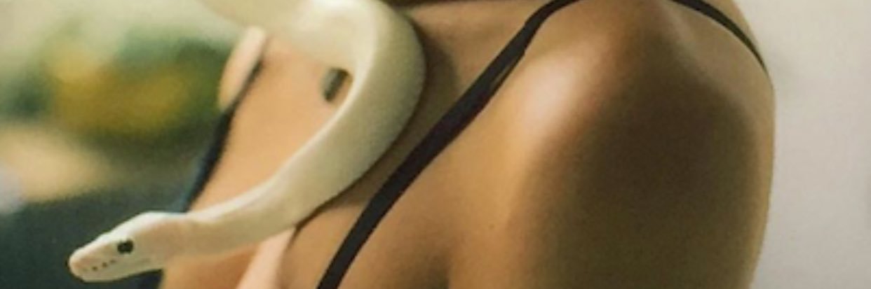 destitt's profile banner image