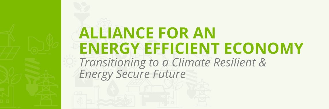 Alliance for an Energy Efficient Economy banner