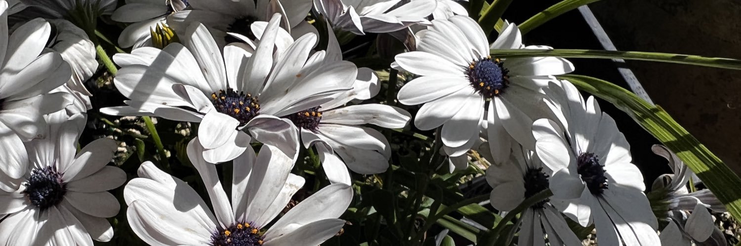 gamache_heather's profile banner image
