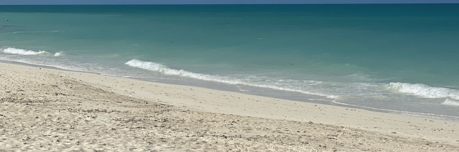 Jen_Lyttle's profile banner image