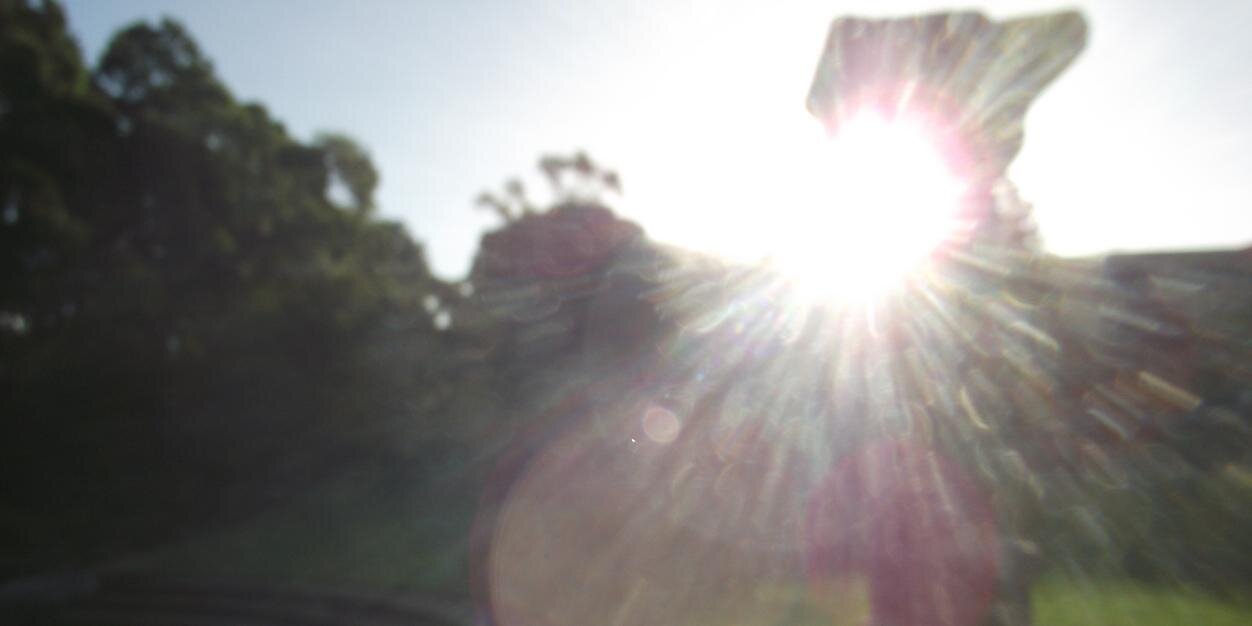 ieatdropbears's profile banner image