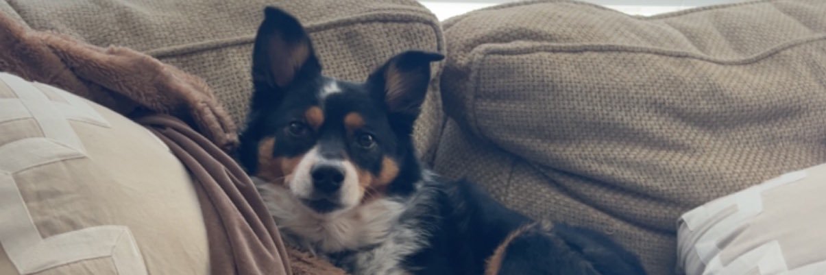 BWilson014's profile banner image