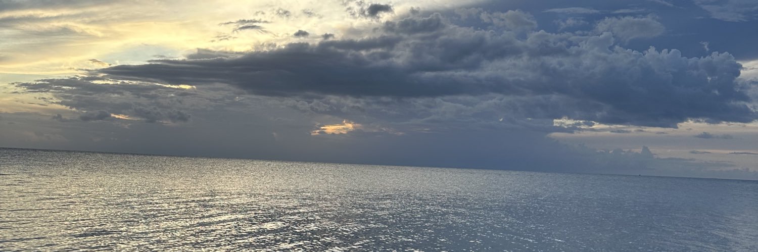 Windy banner