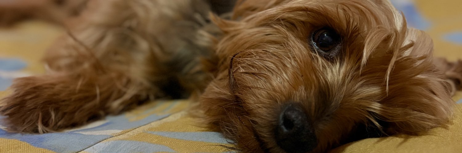 ValeACabrera's profile banner image