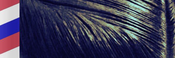 SlicknShiny's profile banner image