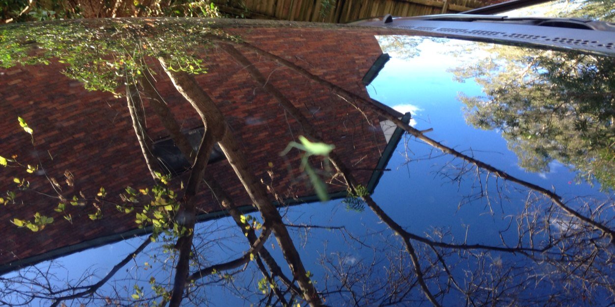 Scott Cameron banner