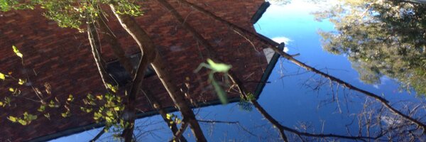 pottswell Profile Banner