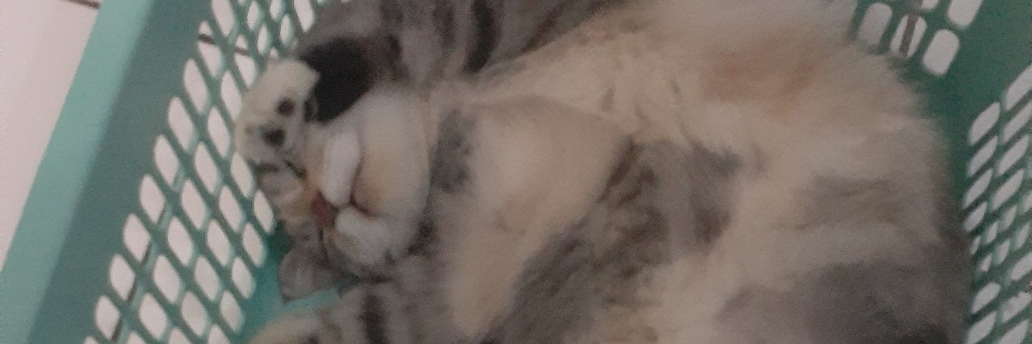 ekaashar's profile banner image