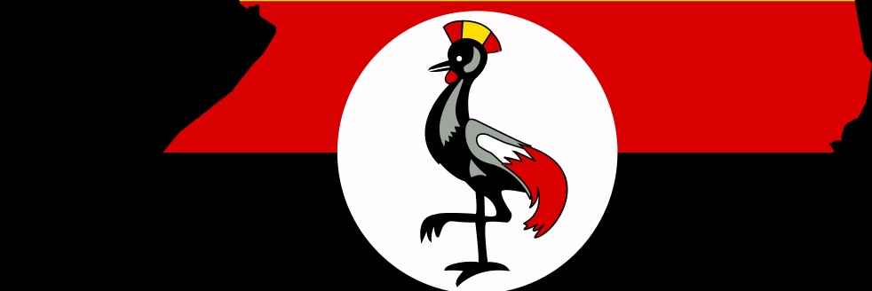 PMagomu's profile banner image
