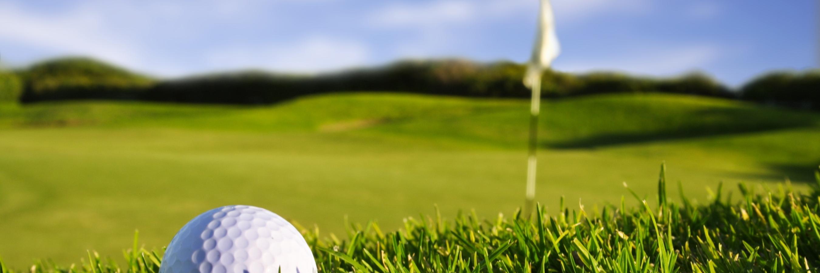 banyagaTiger's profile banner image