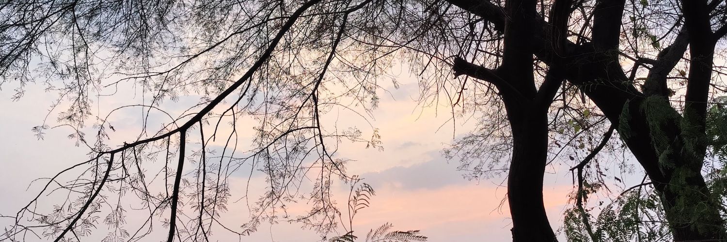 doesntmehtayaar's profile banner image