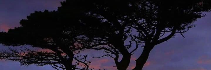 APFurlong's profile banner image