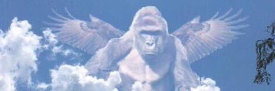 thepr0digy21's profile banner image