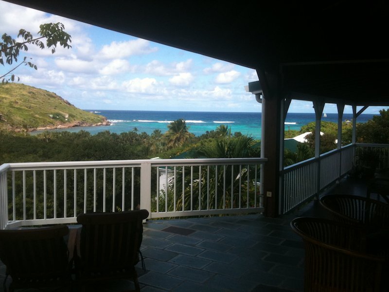 Janene Pappas banner