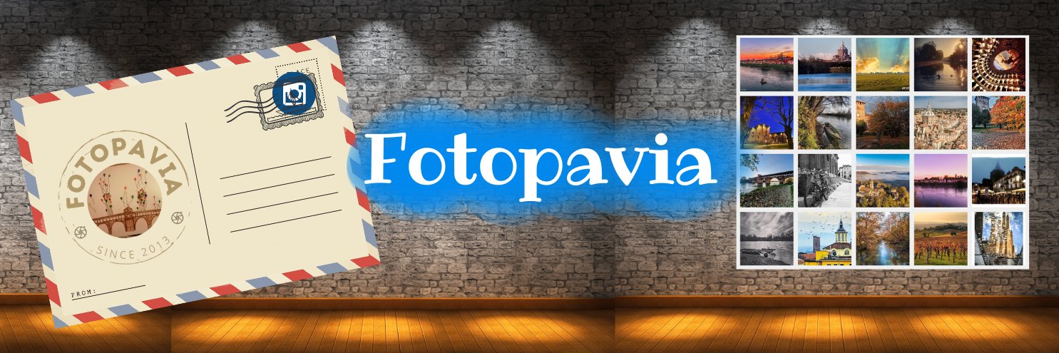 fotopavia's profile banner image