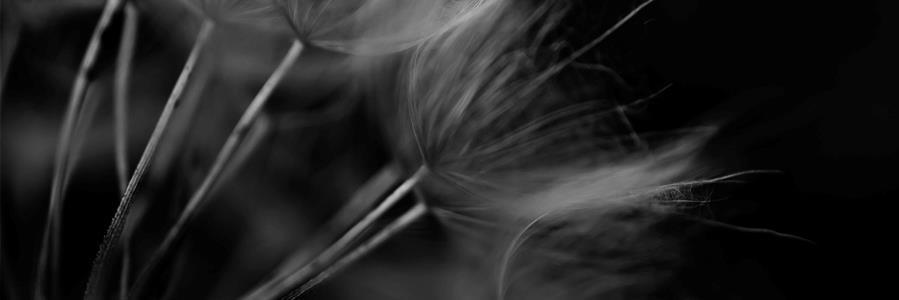 meteymn's profile banner image