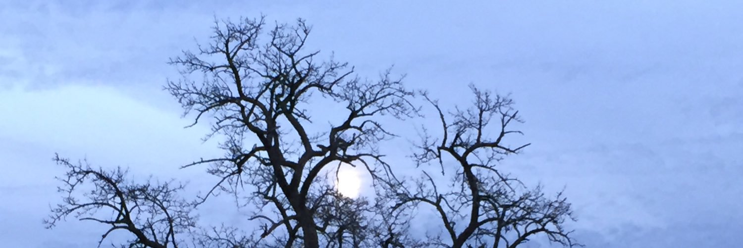 Bernhard_G_S's profile banner image