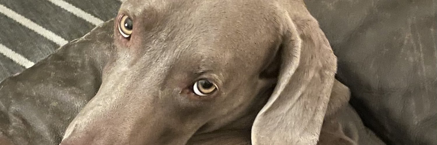 menofben's profile banner image