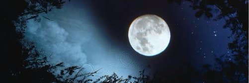 walid_a55's profile banner image