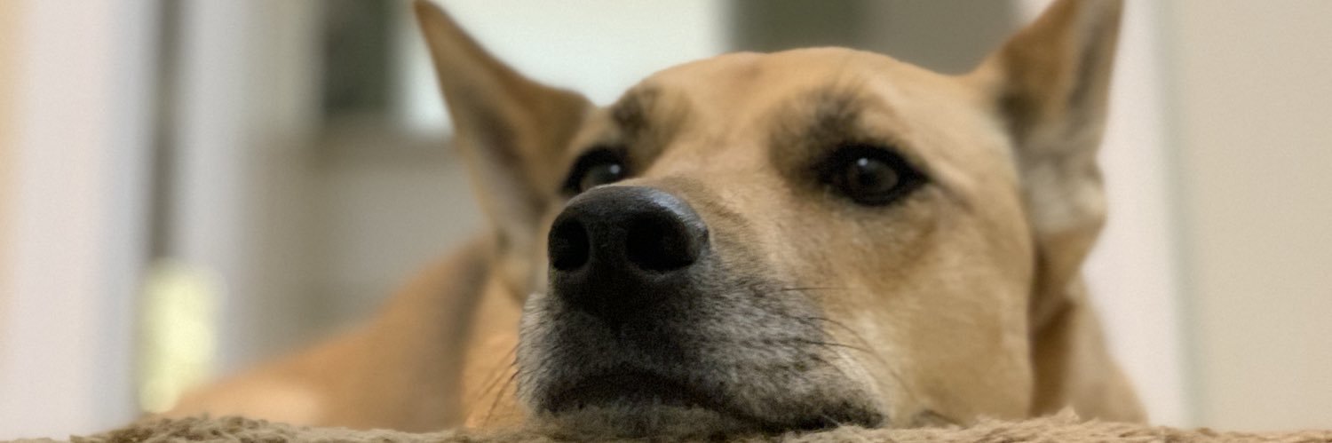 Tucci228's profile banner image