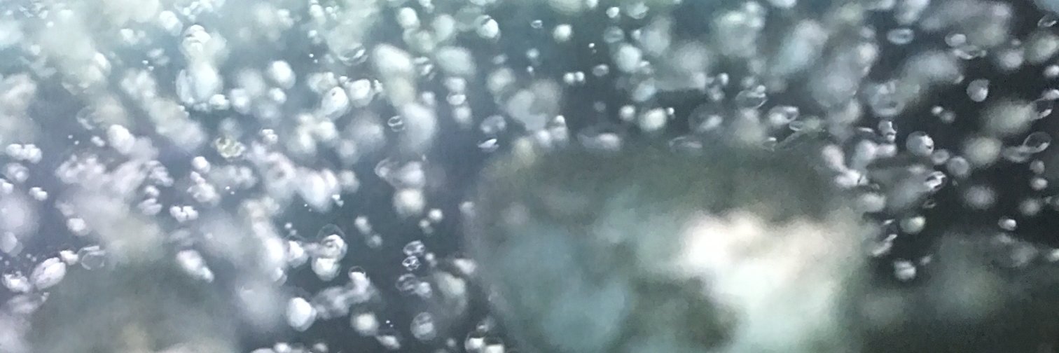 DinaRecords's profile banner image