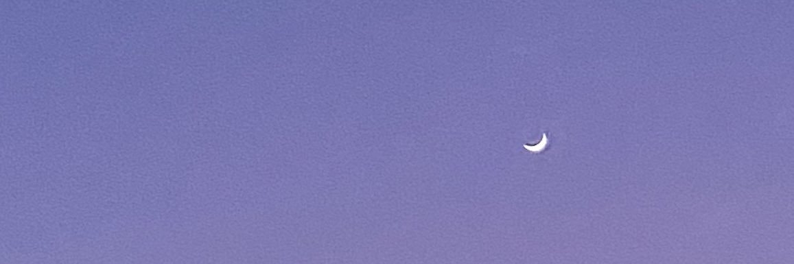 tirssaraa's profile banner image