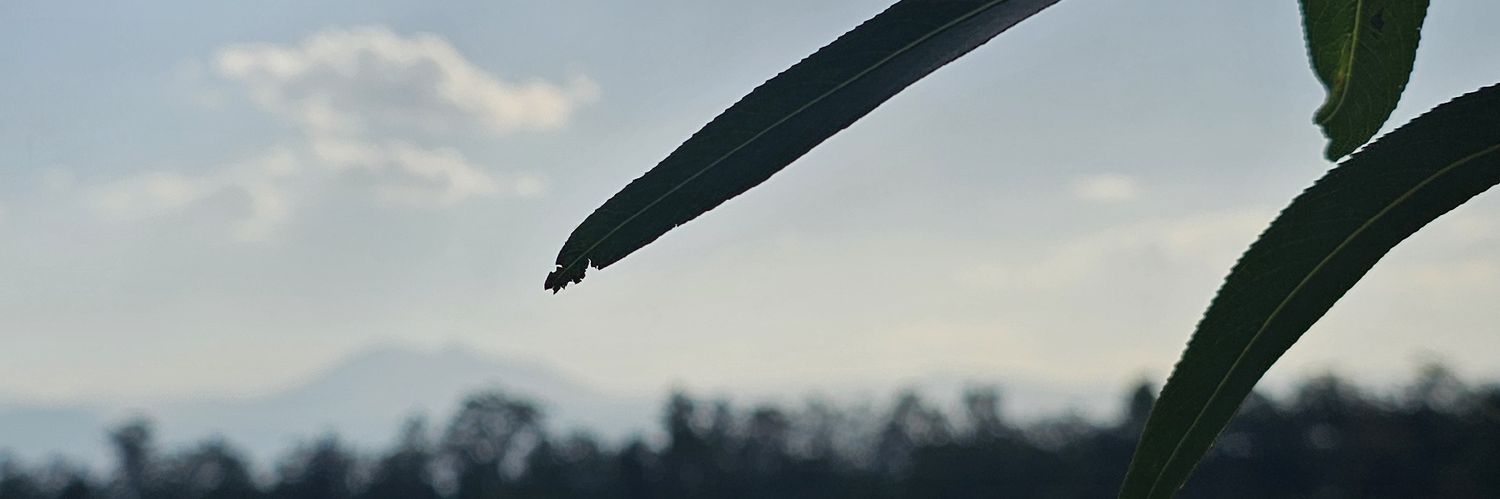 Uris_aurio's profile banner image