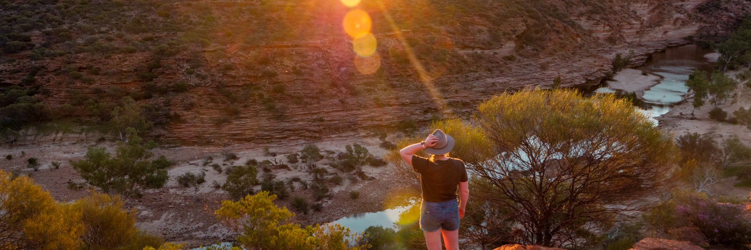 Laura Meachim banner