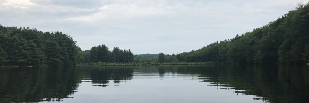 LoofeeM's profile banner image