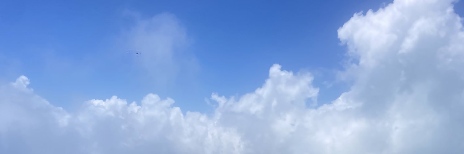 Ashley Nicole banner