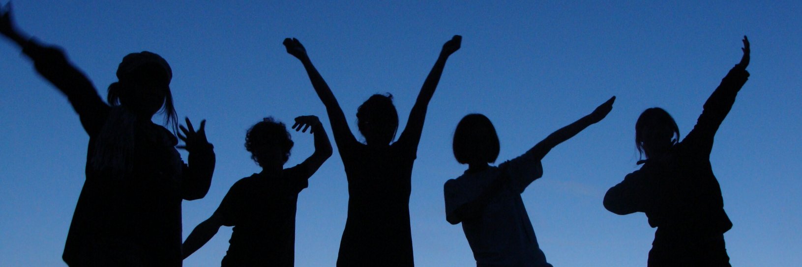 volontariat_org's profile banner image