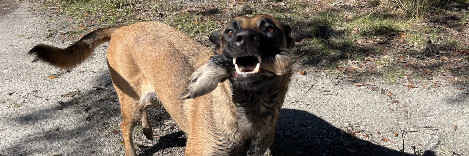 perfect weather banner