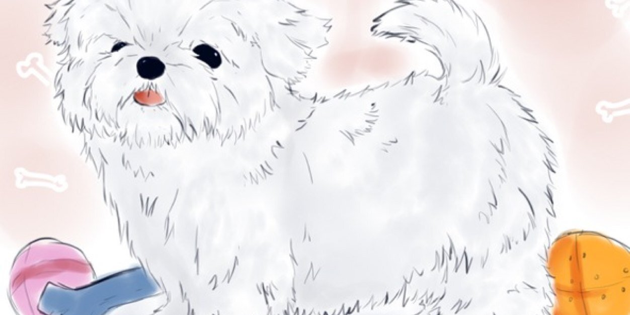 BL_Patter's profile banner image